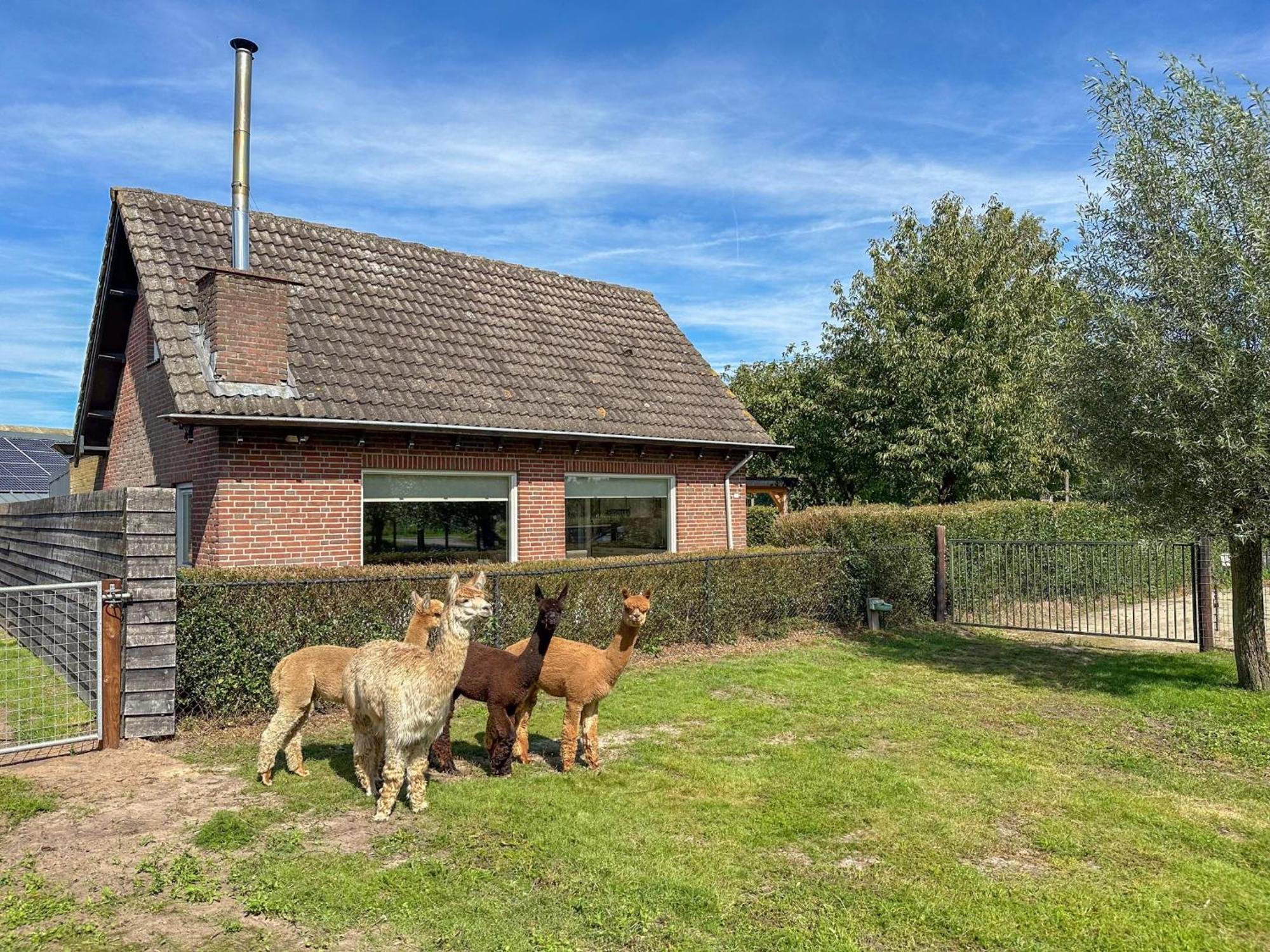 Alpacafarm Vorstenbosch Exterior foto