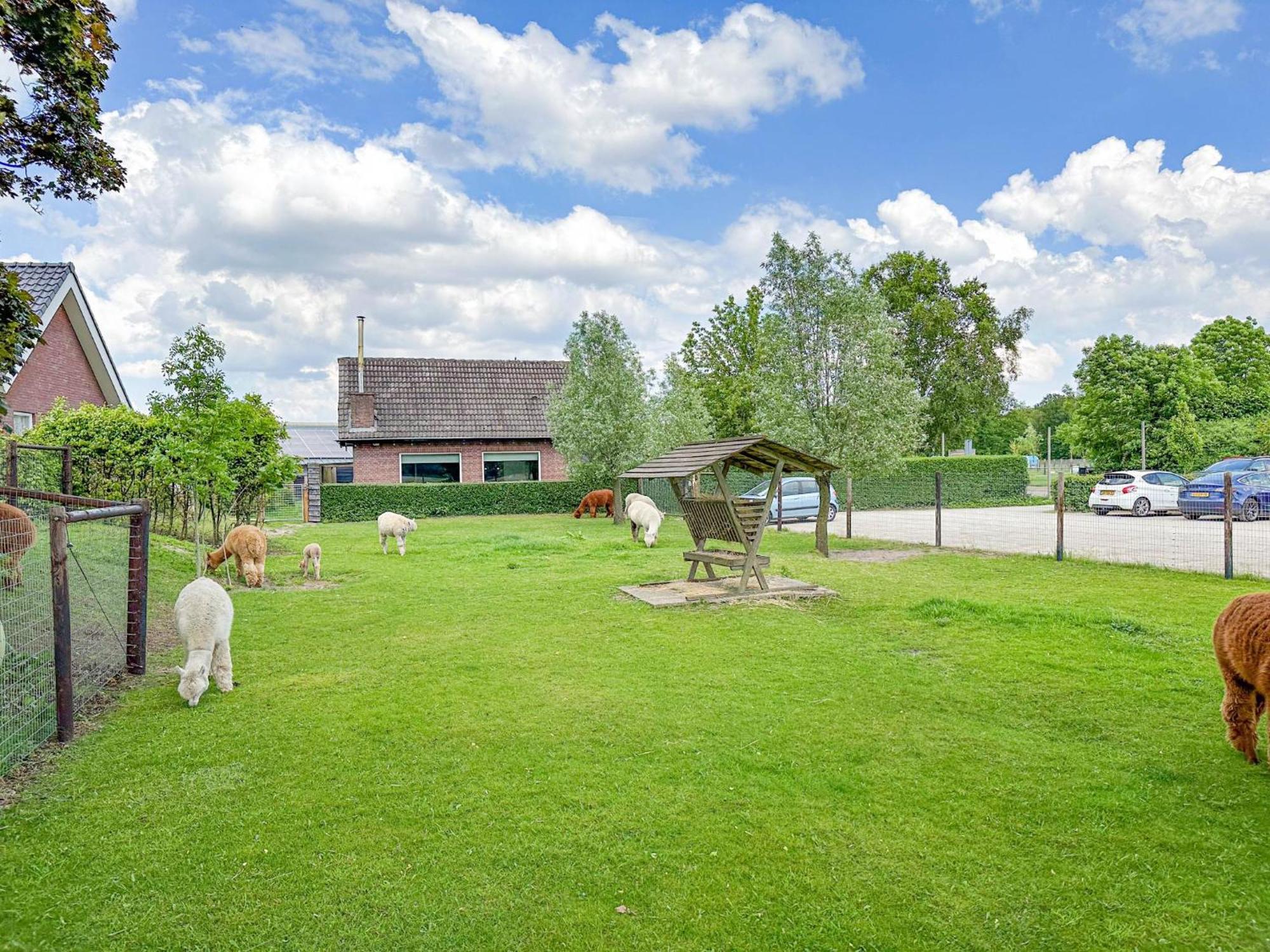Alpacafarm Vorstenbosch Exterior foto