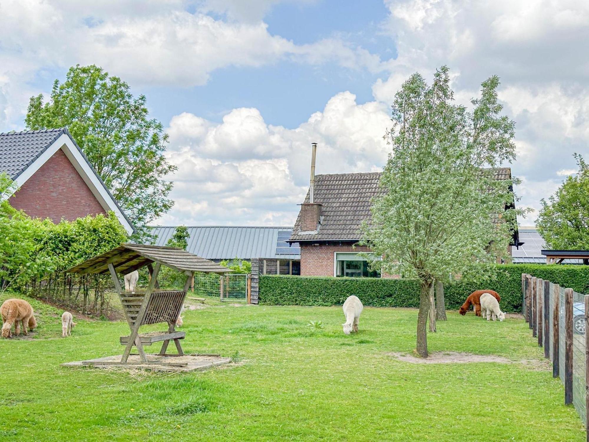 Alpacafarm Vorstenbosch Exterior foto